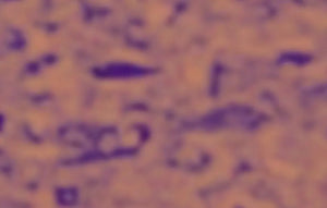 A7647fd4bad4b487d849a5574aaaeb890D.jpg